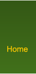 Home Home